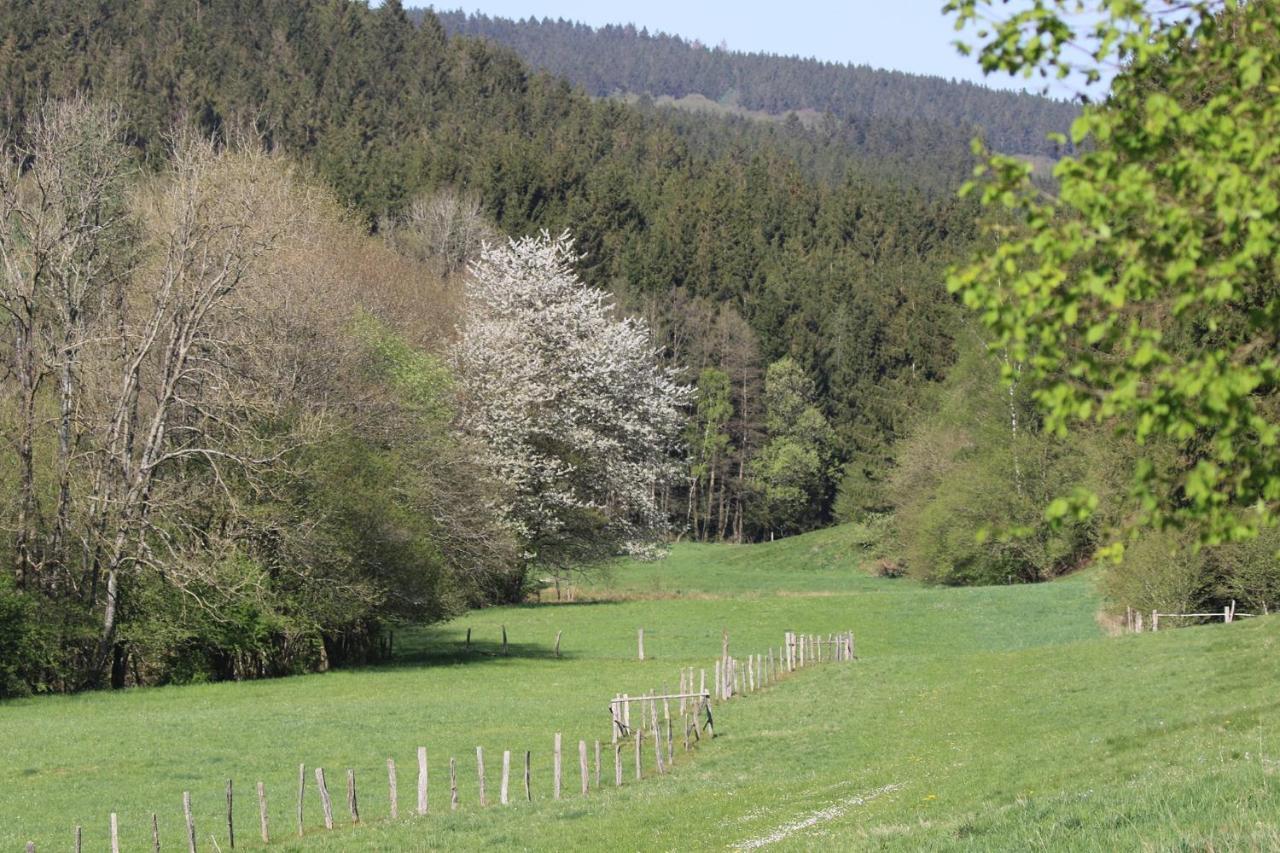 B&B Nid douillet - Spa Francorchamps Stoumont Extérieur photo