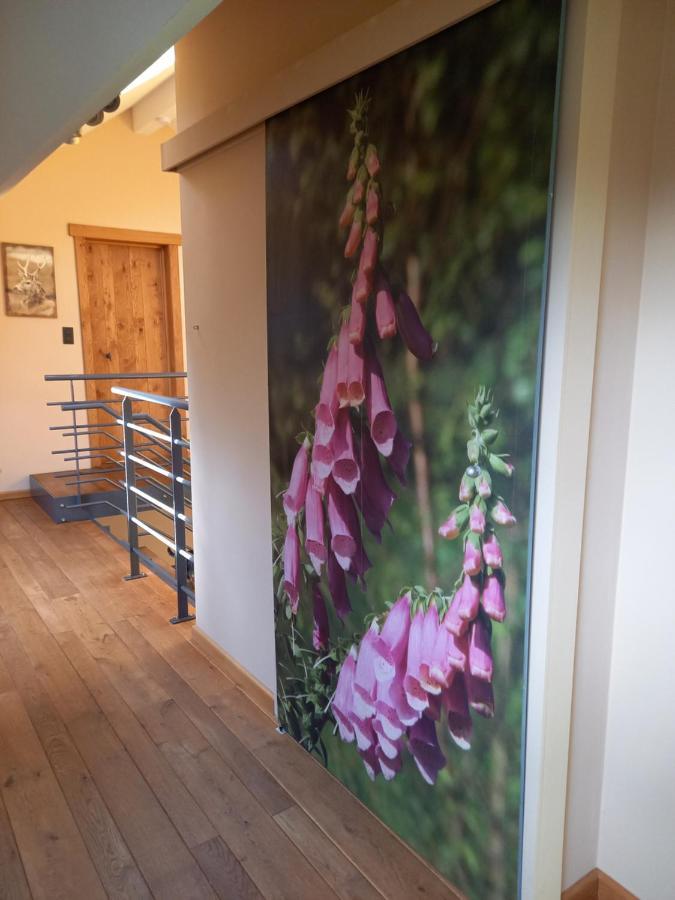 B&B Nid douillet - Spa Francorchamps Stoumont Extérieur photo